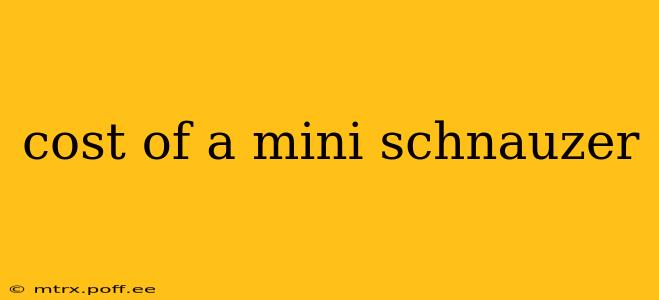 cost of a mini schnauzer