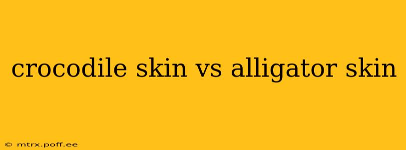 crocodile skin vs alligator skin