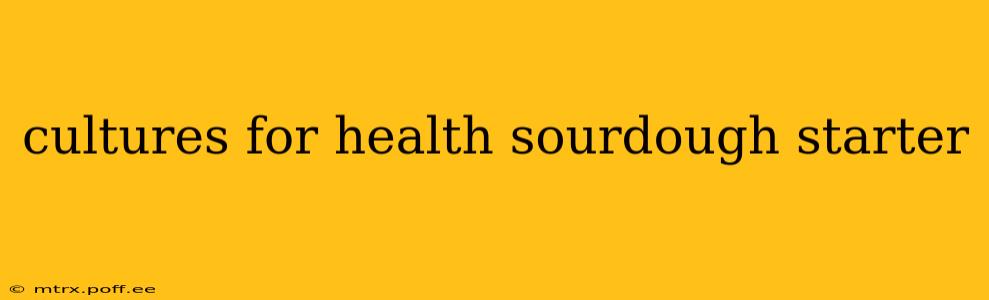 cultures for health sourdough starter