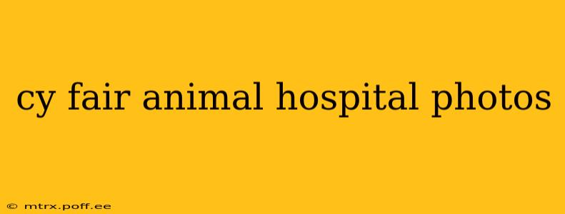 cy fair animal hospital photos
