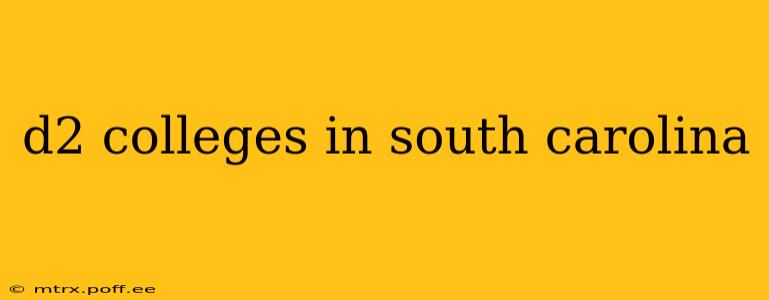 d2 colleges in south carolina