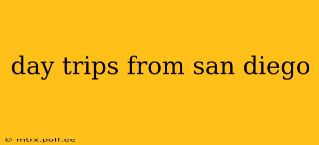 day trips from san diego