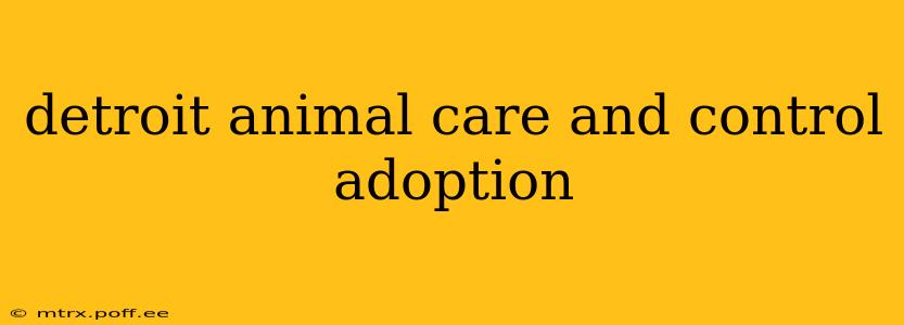 detroit animal care and control adoption