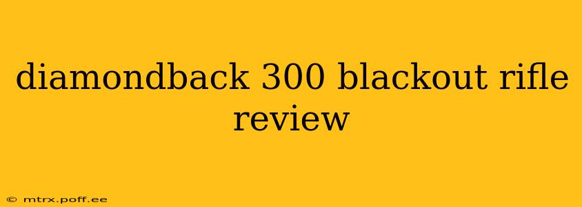 diamondback 300 blackout rifle review