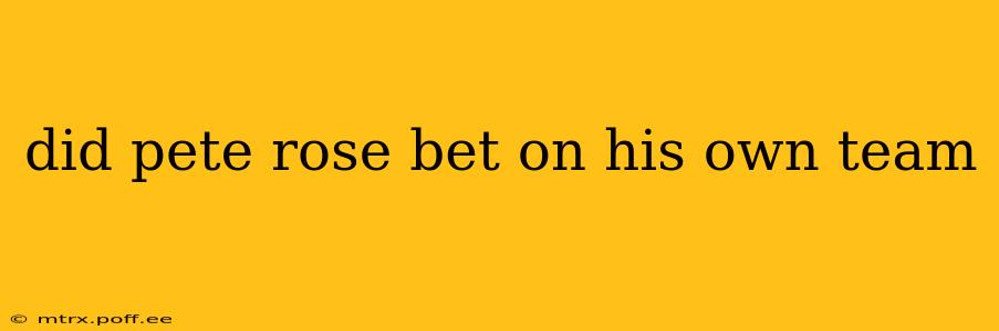 did pete rose bet on his own team