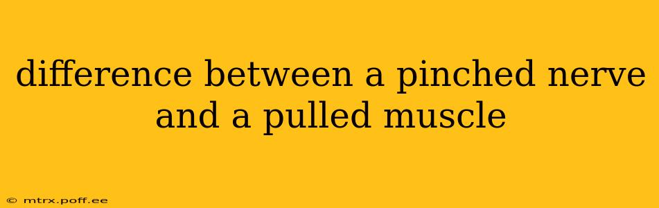 difference between a pinched nerve and a pulled muscle