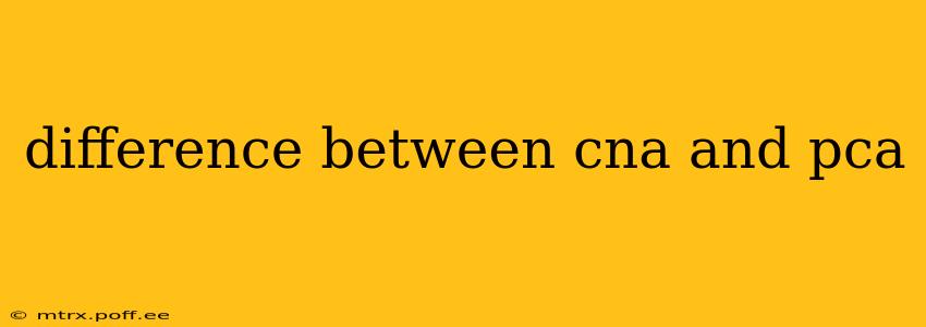 difference between cna and pca