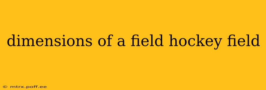 dimensions of a field hockey field