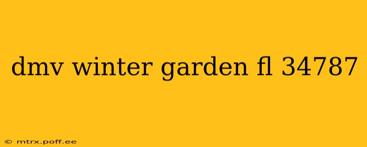 dmv winter garden fl 34787