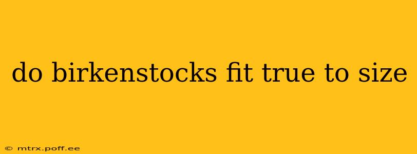 do birkenstocks fit true to size