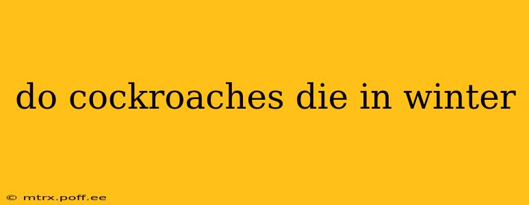 do cockroaches die in winter