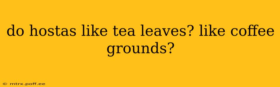 do hostas like tea leaves? like coffee grounds?