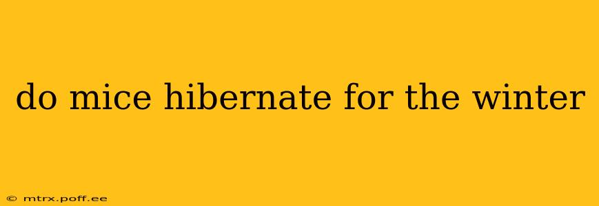 do mice hibernate for the winter