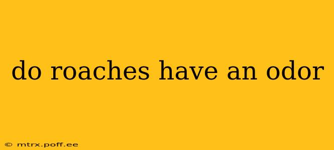 do roaches have an odor