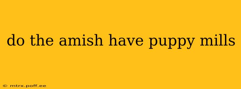 do the amish have puppy mills