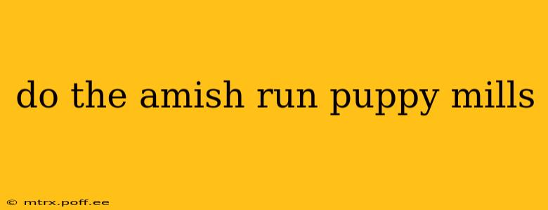 do the amish run puppy mills