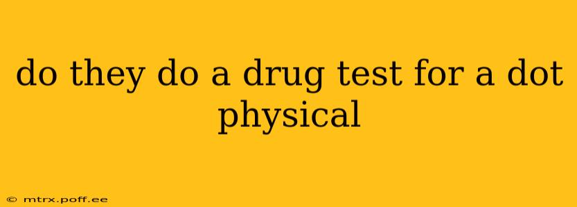 do they do a drug test for a dot physical