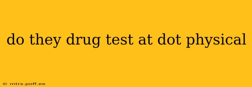 do they drug test at dot physical