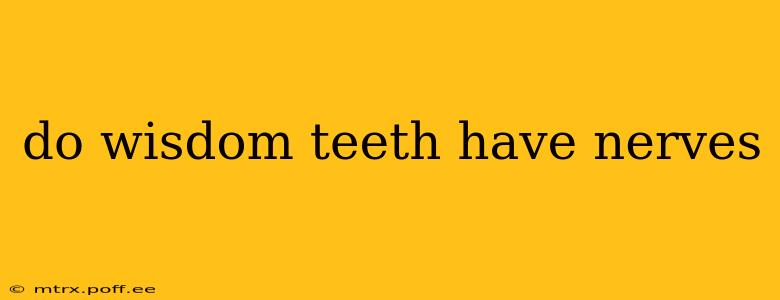 do wisdom teeth have nerves
