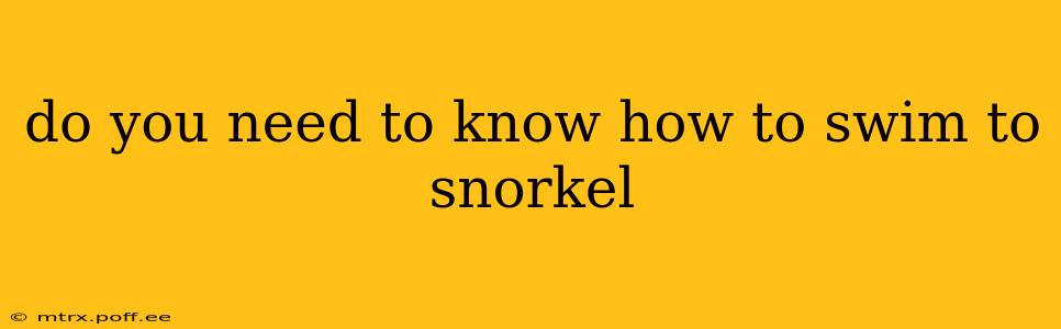do you need to know how to swim to snorkel