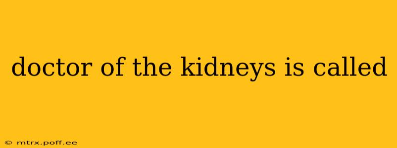 doctor of the kidneys is called
