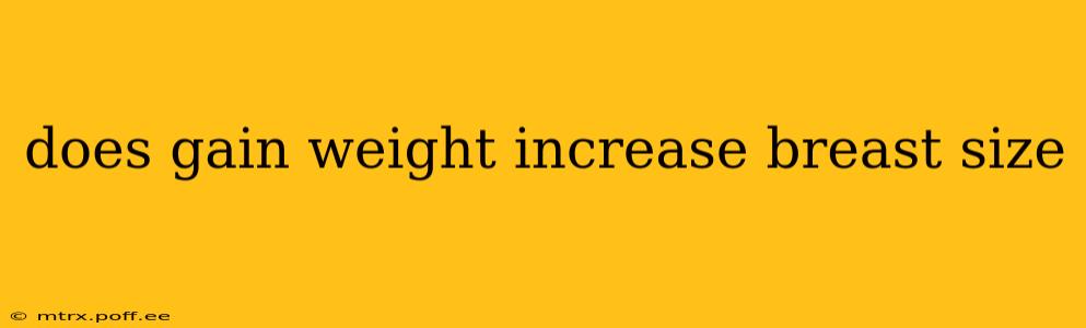does gain weight increase breast size