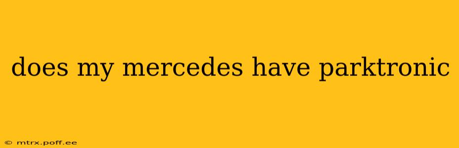 does my mercedes have parktronic
