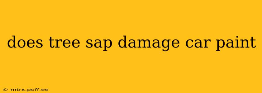 does tree sap damage car paint