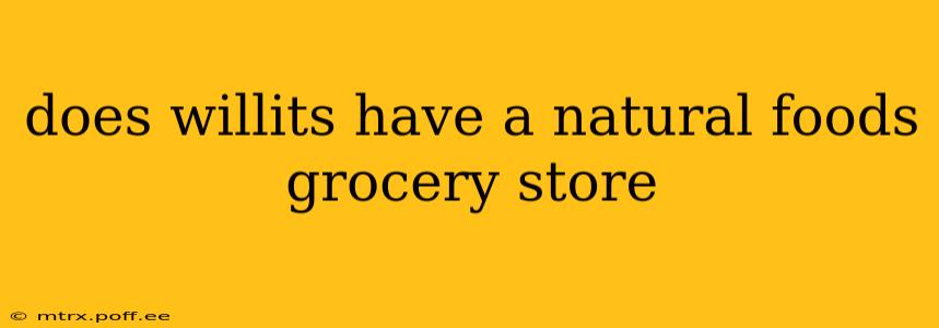 does willits have a natural foods grocery store