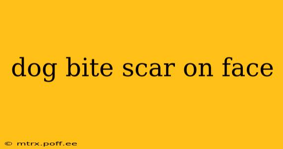 dog bite scar on face