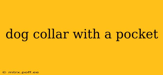 dog collar with a pocket