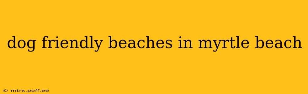 dog friendly beaches in myrtle beach