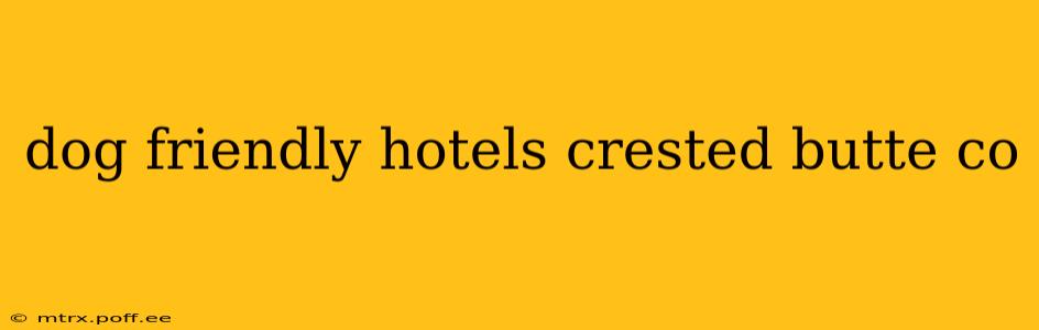 dog friendly hotels crested butte co