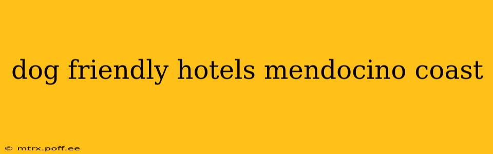 dog friendly hotels mendocino coast