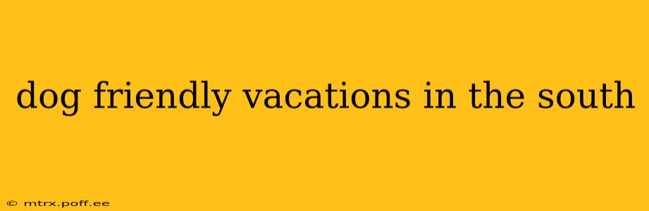 dog friendly vacations in the south