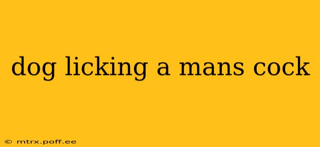 dog licking a mans cock dog licking a mans cock