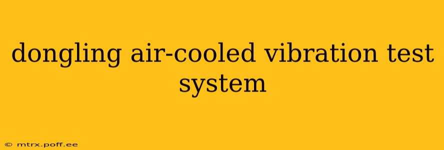dongling air-cooled vibration test system