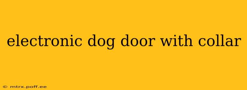 electronic dog door with collar