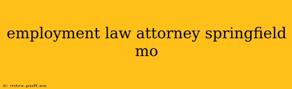 employment law attorney springfield mo