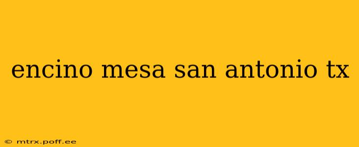encino mesa san antonio tx