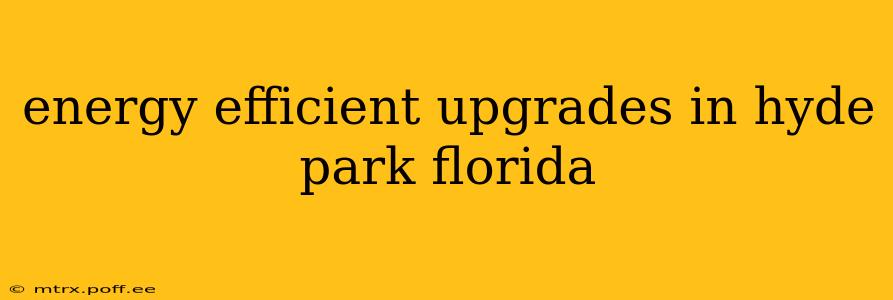 energy efficient upgrades in hyde park florida