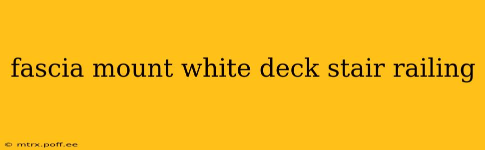 fascia mount white deck stair railing