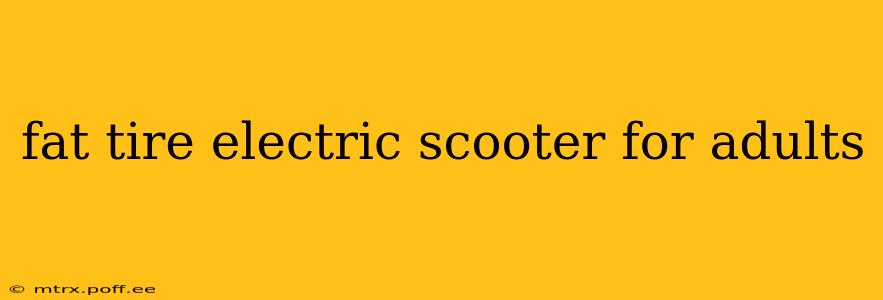 fat tire electric scooter for adults