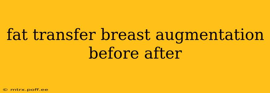 fat transfer breast augmentation before after