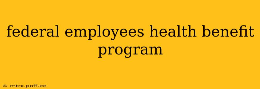 federal employees health benefit program