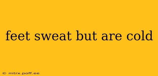 feet sweat but are cold