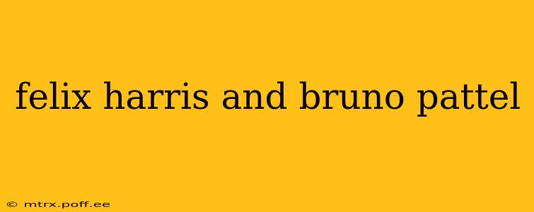 felix harris and bruno pattel felix harris and bruno pattel