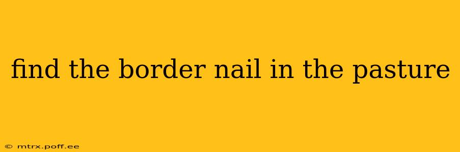 find the border nail in the pasture