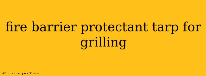 fire barrier protectant tarp for grilling