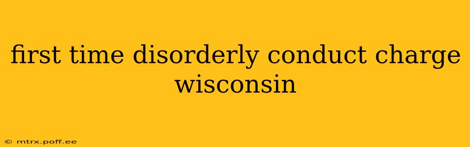 first time disorderly conduct charge wisconsin